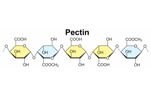محتوای پکتین کیمیا نوین